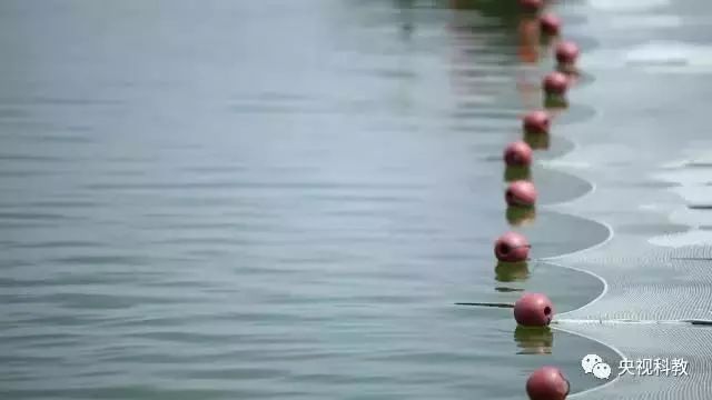 央視聚焦<a href=http://m.fair3xin.com target=_blank class=infotextkey>雙良</a><a href=http://m.fair3xin.com target=_blank class=infotextkey>新型光催化</a>“走進(jìn)科學(xué)”