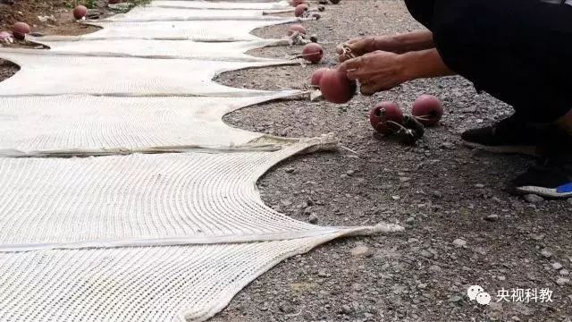 央視聚焦<a href=http://m.fair3xin.com target=_blank class=infotextkey>雙良</a><a href=http://m.fair3xin.com target=_blank class=infotextkey>新型光催化</a>“走進(jìn)科學(xué)”