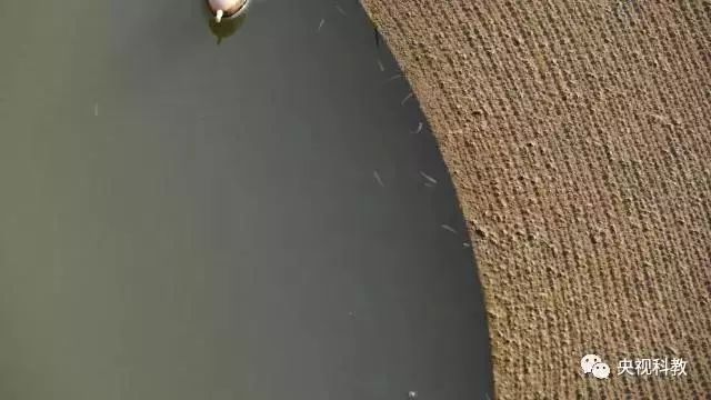 央視聚焦<a href=http://m.fair3xin.com target=_blank class=infotextkey>雙良</a><a href=http://m.fair3xin.com target=_blank class=infotextkey>新型光催化</a>“走進(jìn)科學(xué)”