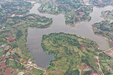 四川資陽市雁江區(qū)滴水巖水庫水體修復技術(shù)服務項目