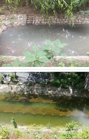 硬質岸坡河道消除黑臭-江蘇省常州市長溝河