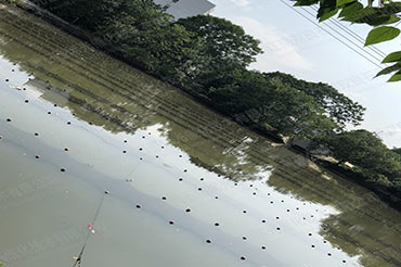 未截污坑塘池塘消除黑臭-江蘇省南京市鼓樓區(qū)方家營(yíng)大塘