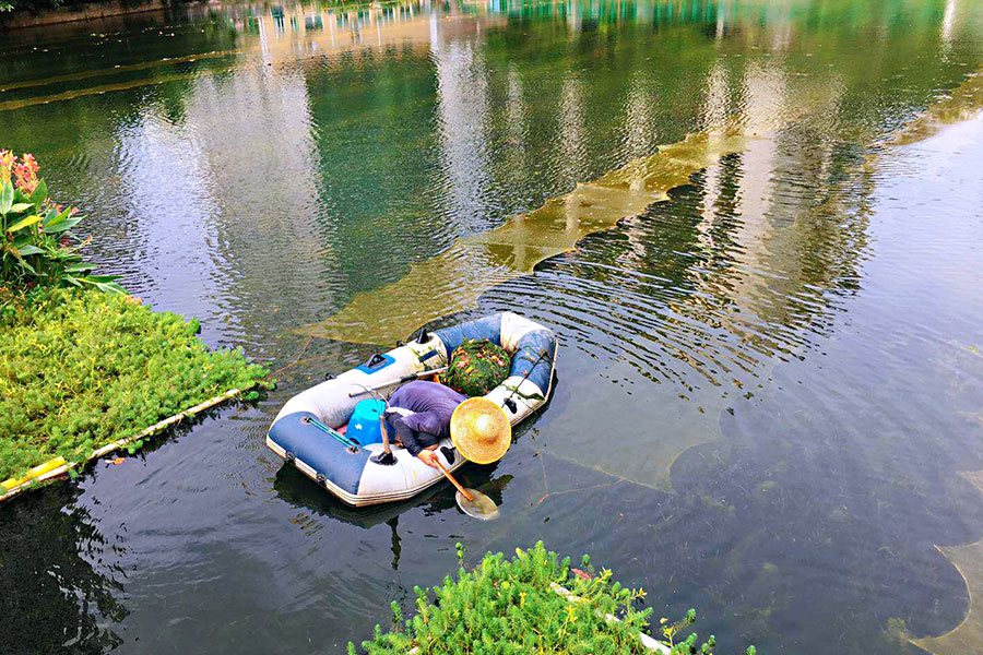 廣東省深圳市辛養(yǎng)魚塘-<a href=http://m.fair3xin.com target=_blank class=infotextkey>水生態(tài)修復(fù)</a>示范項(xiàng)目