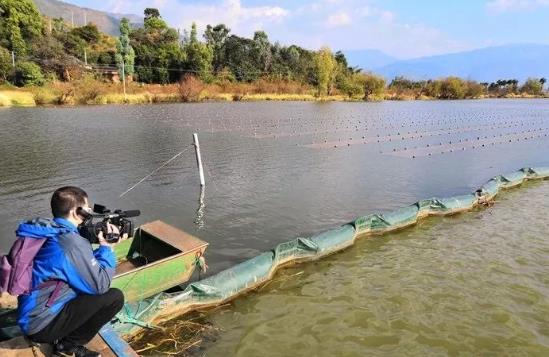 且看這個(gè)“不簡單的網(wǎng)”如何改善大理洱源<a href=http://m.fair3xin.com target=_blank class=infotextkey>水生態(tài)修復(fù)</a>環(huán)境