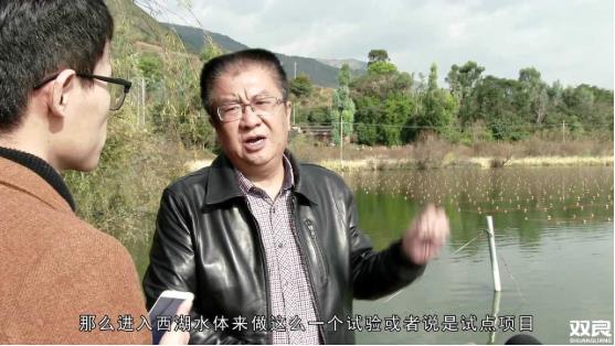 洱源西湖<a href=http://m.fair3xin.com target=_blank class=infotextkey>水環(huán)境治理</a><a href=http://m.fair3xin.com/hp/ target=_blank class=infotextkey>湖泊修復(fù)</a>碧水藍(lán)天