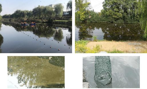 江陰市濱江河黑臭水體<a href=http://m.fair3xin.com target=_blank class=infotextkey>河道治理</a>