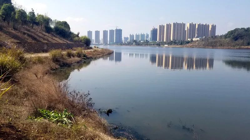 長(zhǎng)興湖水<a href=http://m.fair3xin.com target=_blank class=infotextkey>水環(huán)境治理</a>