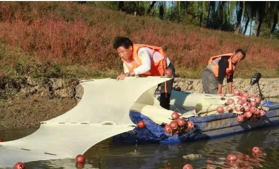 <a href=http://m.fair3xin.com target=_blank class=infotextkey>雙良</a>光催化為通州鳳港減河專(zhuān)門(mén)治水體