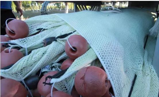 <a href=http://m.fair3xin.com target=_blank class=infotextkey>雙良</a>光催化為通州鳳港減河專(zhuān)門(mén)治水體