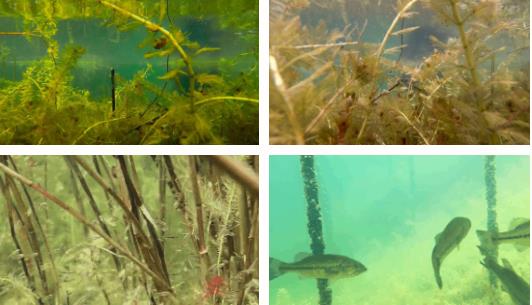 雙良新型光催化技術(shù)市場(chǎng)應(yīng)用推廣交流會(huì)在上海順利召開(kāi)！