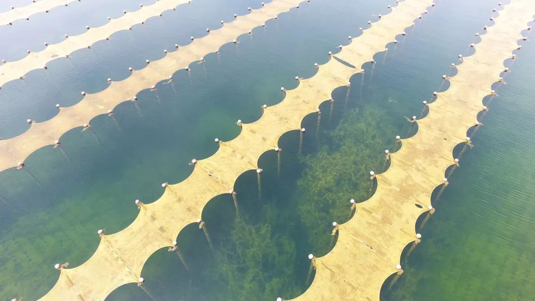 “光催化技術(shù)提升飲用水源地水質(zhì)工程應(yīng)用專家評審會”在上?？茖W會堂順利召開