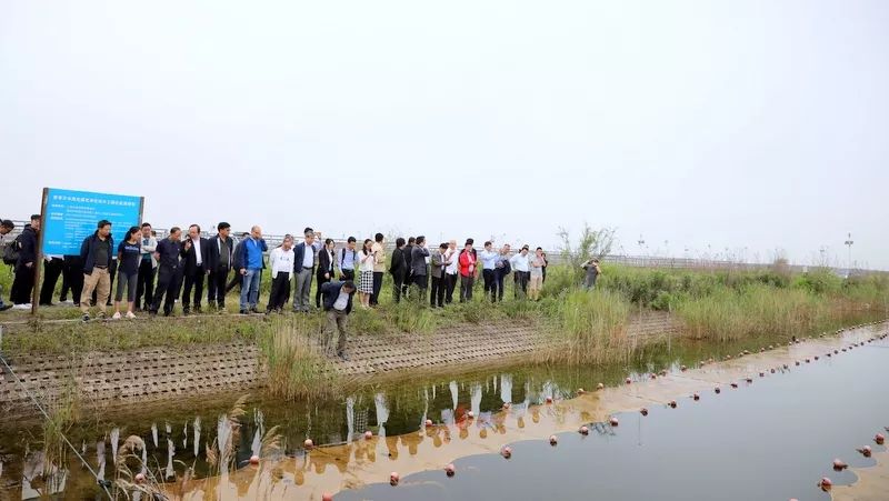 中國(guó)第一大城市飲用水<a href=http://m.fair3xin.com/yysyd/ target=_blank class=infotextkey>水源地治理</a>技術(shù)突破