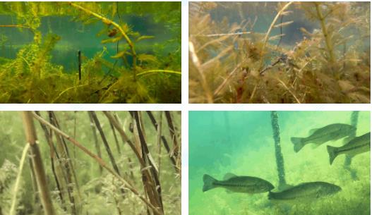 <a href=http://m.fair3xin.com/yysyd/ target=_blank class=infotextkey>水源地治理</a>