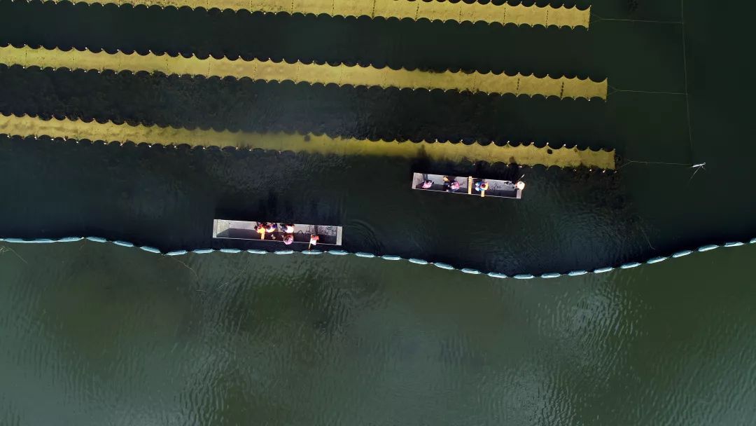 25.22億！山西晉城河道生態(tài)修復及污水資源化利用PPP項目啟河道治理環(huán)評動資審