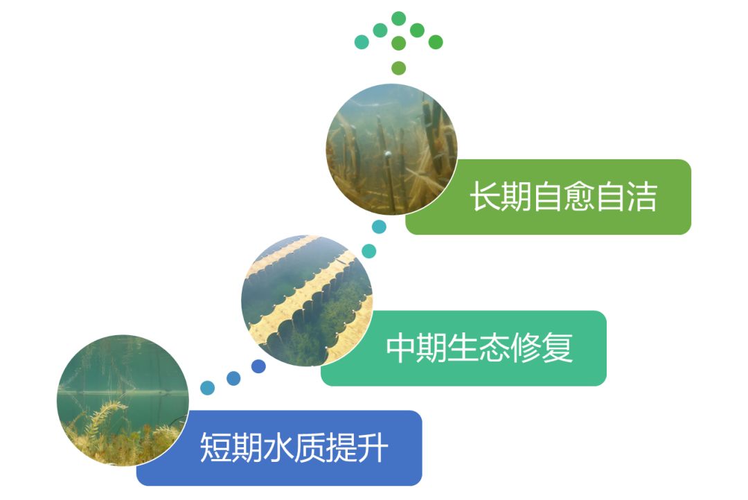 2020<a href=http://m.fair3xin.com target=_blank class=infotextkey><a href=http://m.fair3xin.com target=_blank class=infotextkey>雙良</a>環(huán)境</a>春招開啟