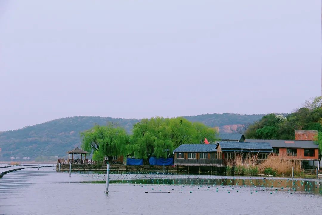 “尋找雙良環(huán)境最美春天”攝影活動(dòng)圓滿結(jié)束！