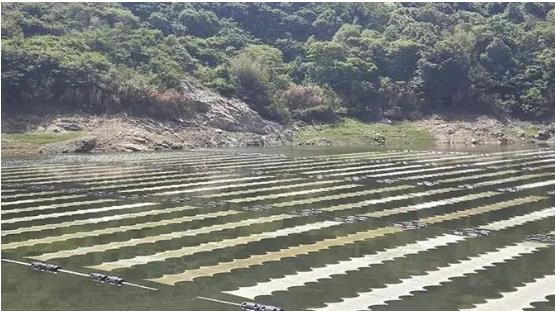 <a href=http://m.fair3xin.com target=_blank class=infotextkey><a href=http://m.fair3xin.com target=_blank class=infotextkey>雙良</a>環(huán)境</a><a href=http://m.fair3xin.com target=_blank class=infotextkey>新型光催化</a>技術(shù)幫助嵊泗提升水庫水質(zhì)