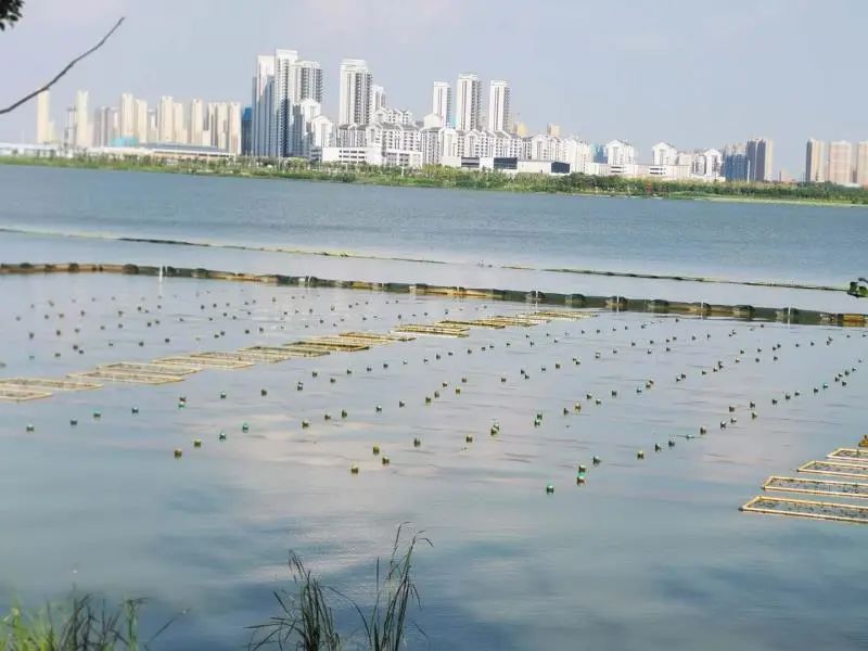 <a href=http://m.fair3xin.com target=_blank class=infotextkey><a href=http://m.fair3xin.com target=_blank class=infotextkey>雙良</a>環(huán)境</a>乘風破浪的三石弟弟