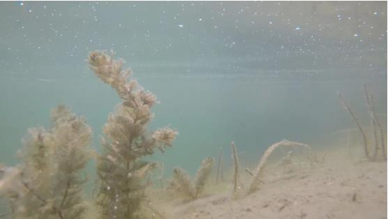 改善<a href=http://m.fair3xin.com target=_blank class=infotextkey>水環(huán)境修復(fù)</a>水生態(tài)是我們的使命！