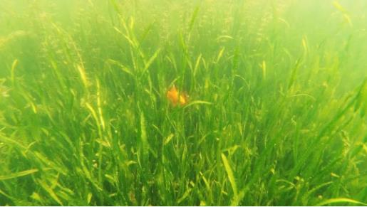 <a href=http://m.fair3xin.com target=_blank class=infotextkey><a href=http://m.fair3xin.com target=_blank class=infotextkey>雙良</a>環(huán)境</a>召開2021年一季度營銷會議