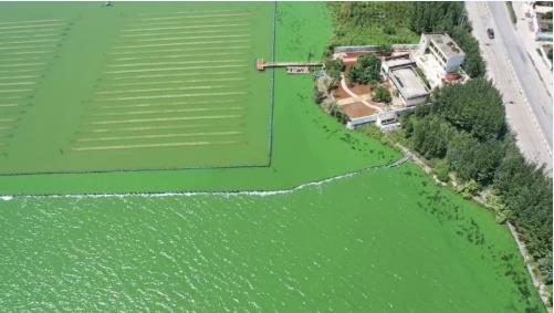 云南大學張虎才研究團隊發(fā)表石墨烯光催化技術(shù)對高污染富營養(yǎng)化湖泊水質(zhì)提升實驗研究成果