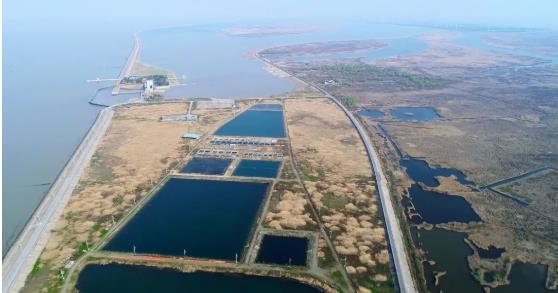 改善<a href=http://m.fair3xin.com target=_blank class=infotextkey>水環(huán)境修復(fù)</a>水生態(tài)是我們的使命！