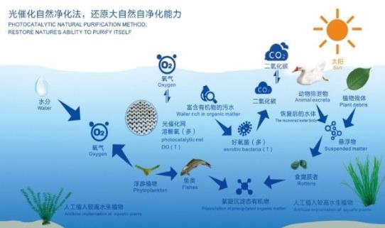 長江生態(tài)環(huán)境保護修復“一市一策” 駐點跟蹤研究