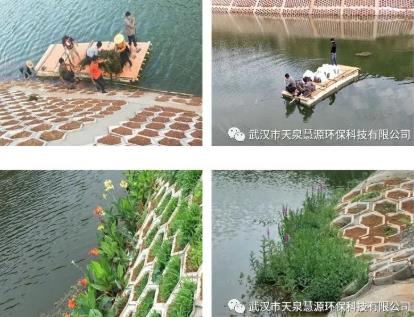 云南雙廊尾水塘庫水質(zhì)凈化工程