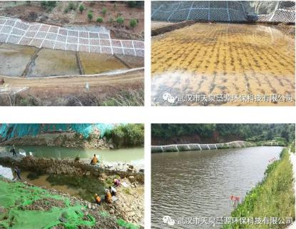 到2025年，基本消除大面積農(nóng)村黑臭水體