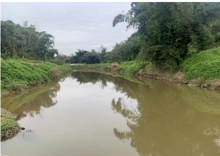 夏季水草豐茂的水域pH為何容易“超標(biāo)”？