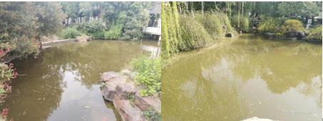 湖泊治理為什么水生態(tài)是核心？