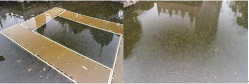 羅源縣生態(tài)環(huán)境“加強生態(tài)環(huán)境保護以改善水環(huán)境質(zhì)量