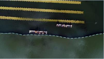 新聞轉(zhuǎn)載｜保障河道運行安全 推動生態(tài)修復(fù)治理 區(qū)水務(wù)局巡查河道水環(huán)境 調(diào)研小東河沙坑生態(tài)修復(fù)工作