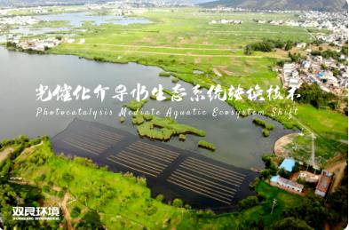 這幾個(gè)養(yǎng)殖場向雙捷草朗水庫直排污水！