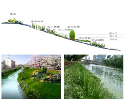 大面積黑臭水體（水塘、水渠、水庫(kù)等）特別是養(yǎng)殖廢水，如何在短時(shí)間快速進(jìn)行治理？達(dá)標(biāo)農(nóng)灌水或排放標(biāo)準(zhǔn)？