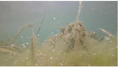 多地發(fā)布水環(huán)境治理項(xiàng)目，水利展重磅發(fā)布！