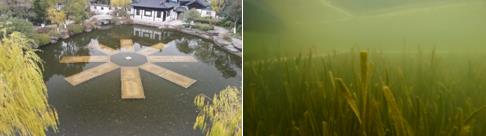 窯灣街道迅速治理，恢復被污染飲用水水源地