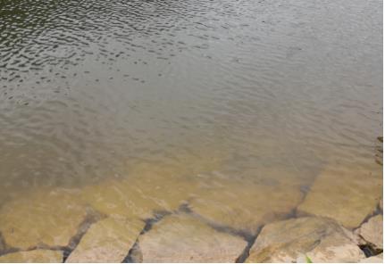 資陽(yáng)重拳整治老鷹水庫(kù)非法垂釣，擬立法保護(hù)飲用水源