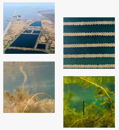 簡(jiǎn)訊｜進(jìn)入公示名單！