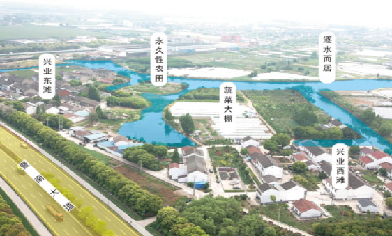 鄉(xiāng)村振興設計項目