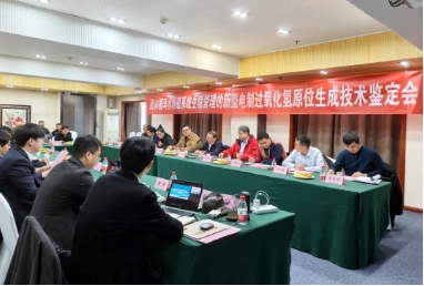 國(guó)際先進(jìn)！雙良環(huán)境這項(xiàng)首創(chuàng)技術(shù)通過(guò)專(zhuān)家權(quán)威鑒定